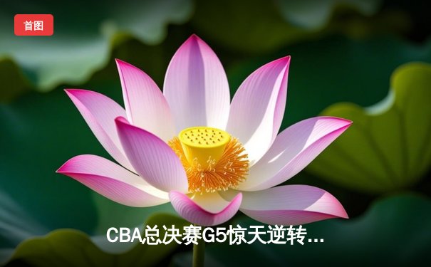 CBA总决赛G5惊天逆转 辽宁本钢加时险胜广东宏远卫冕总冠军